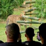 NATAL NO GRAMADOZOO MAMÃE NOEL DISTRIBUI PRESENTES