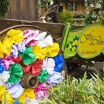 AJUSTES PARA A FESTA DA COLÕNIA NA EXPOGRAMADO
