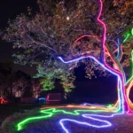 TRAJETÓRIA DO PARQUE LUMNI EXPERIENCE É LANÇADA EM LIVRO